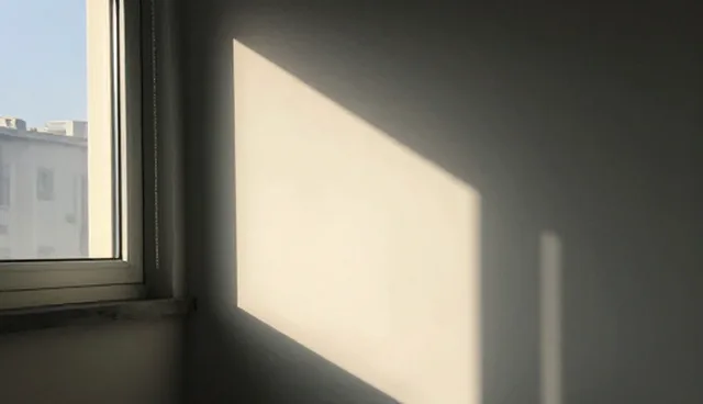 成果转化过程中组织管理的常见问题及处理方向